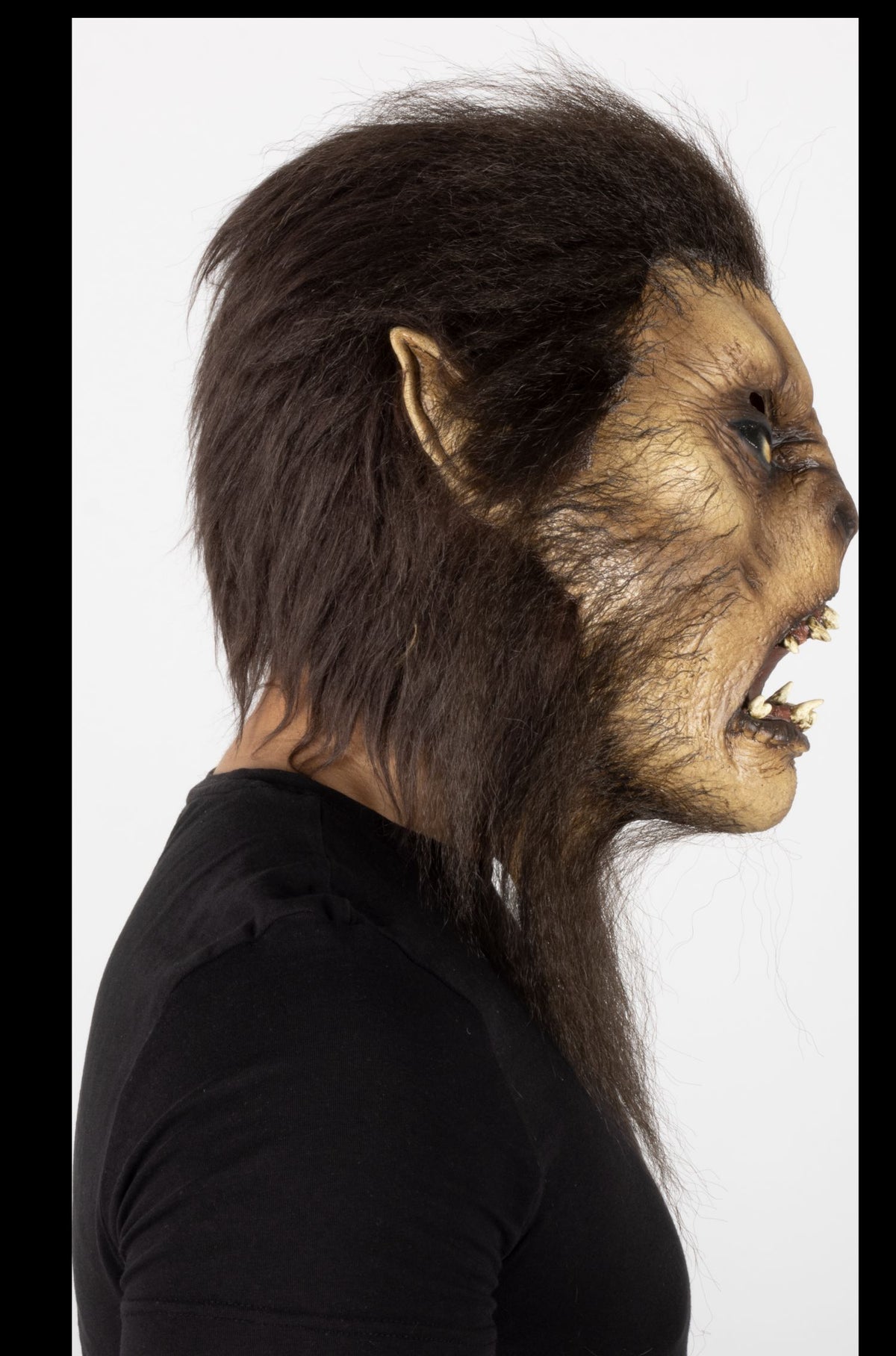 Máscara Café Wolfman Ghoulish - Disfraz de Látex, Kanekalon para Halloween y Día de Muertos