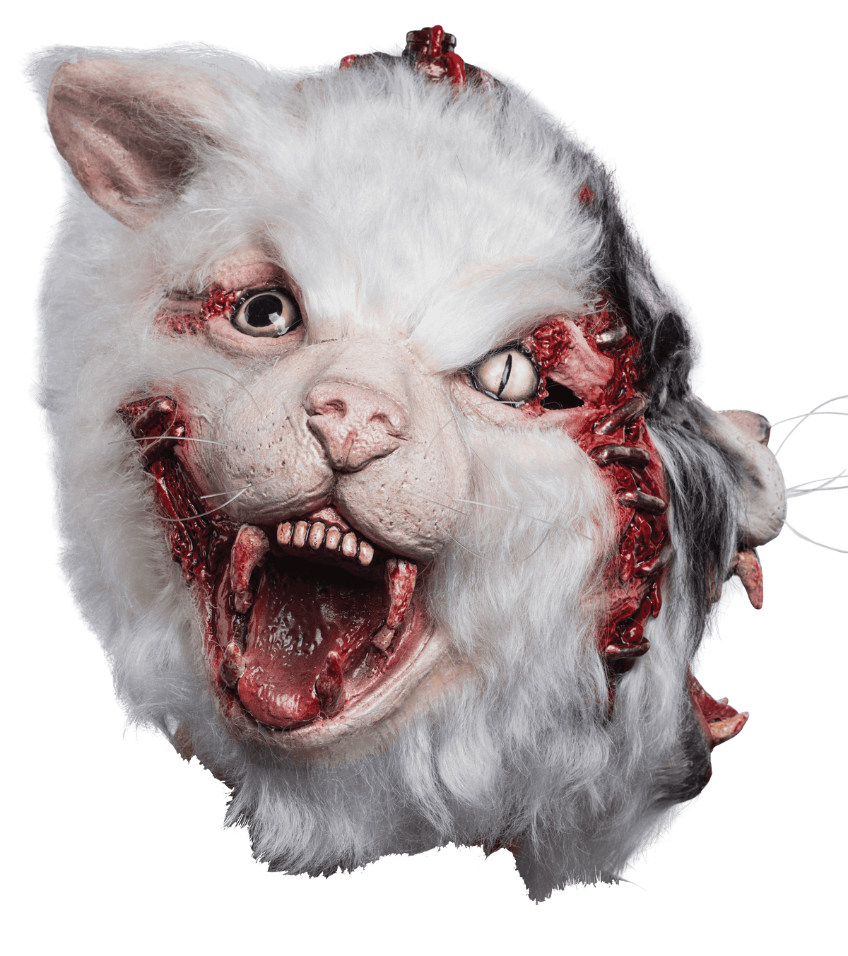 Máscara C.T 085 Laboratorio Gato Ghoulish - Disfraz de Látex, Pelox para Halloween y Día de Muertos