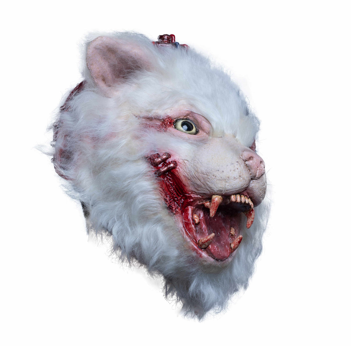 Máscara C.T 085 Laboratorio Gato Ghoulish - Disfraz de Látex, Pelox para Halloween y Día de Muertos