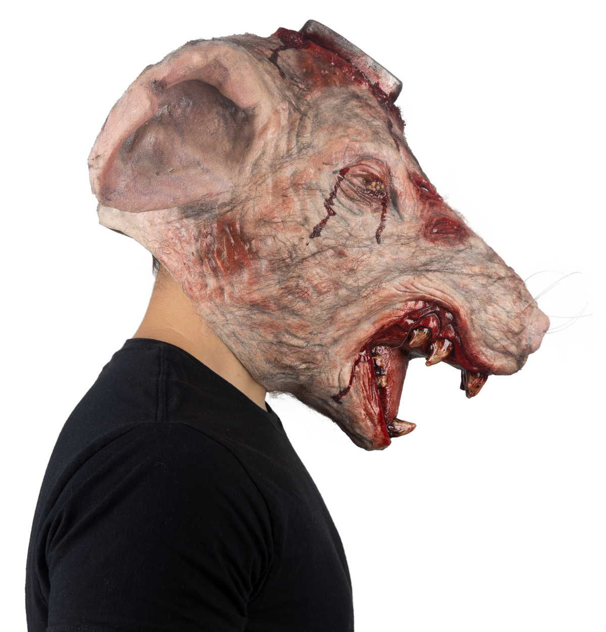 Máscara RT.T 418 Laboratorio Rata Ghoulish - Disfraz de Látex, Pelox, Hilo Cañamo para Halloween y Día de Muertos