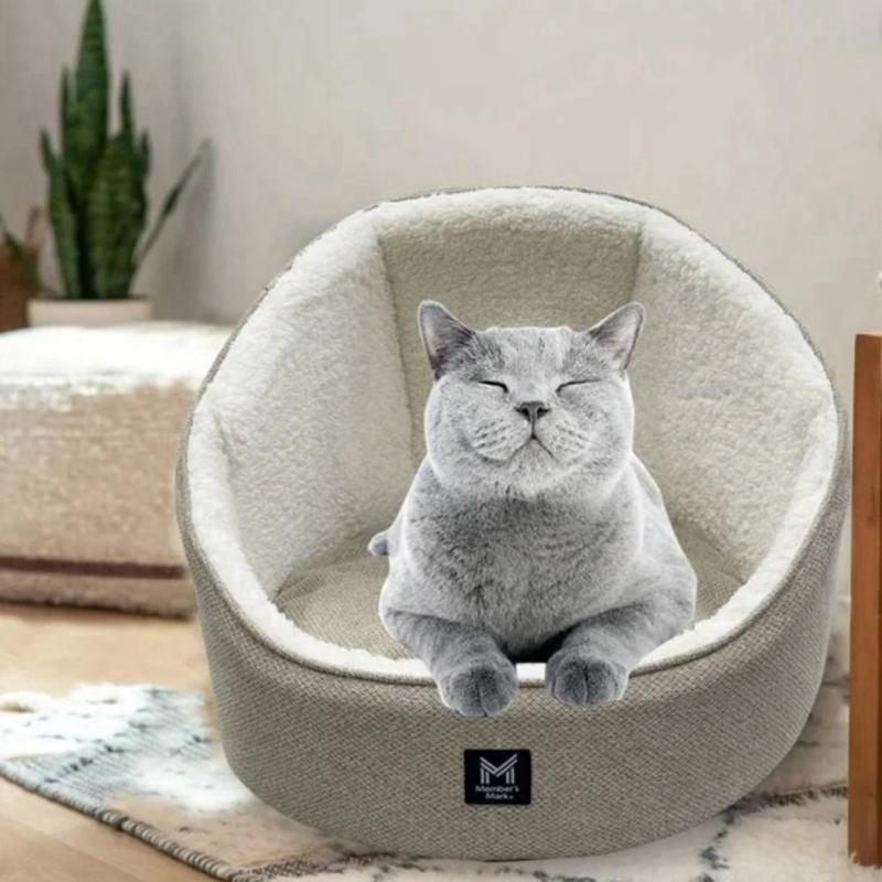 Cama para Mascota Pequeña 45 x 50 cm Color Café Ideal para perros de raza pequeña o gatos Cómoda y Duradera