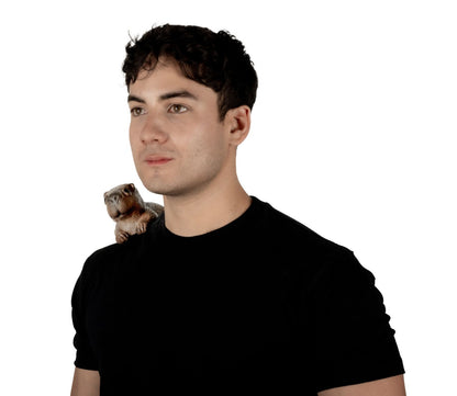 Accesorio "Shoulder Buddy Capibara" Caretas Rev - Ideal para Disfraz, Halloween y Día de Muertos