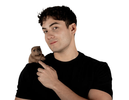 Accesorio "Shoulder Buddy Capibara" Caretas Rev - Ideal para Disfraz, Halloween y Día de Muertos