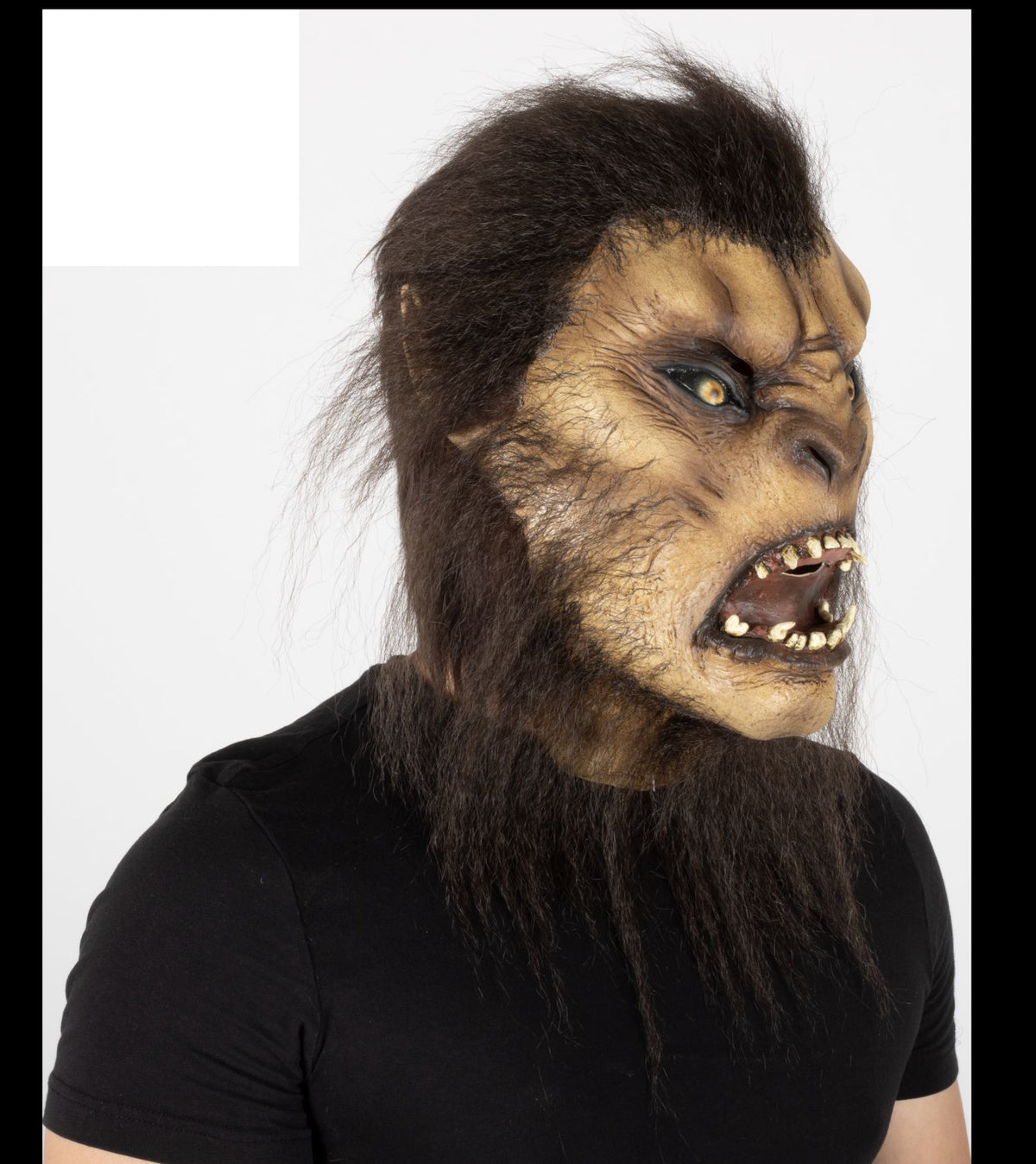 Máscara Café Wolfman Ghoulish - Disfraz de Látex, Kanekalon para Halloween y Día de Muertos