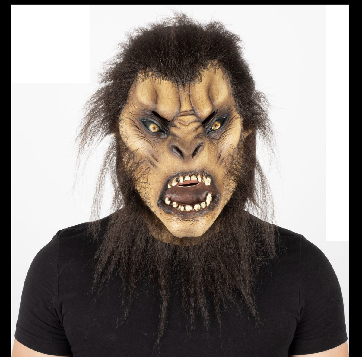 Máscara Café Wolfman Ghoulish - Disfraz de Látex, Kanekalon para Halloween y Día de Muertos