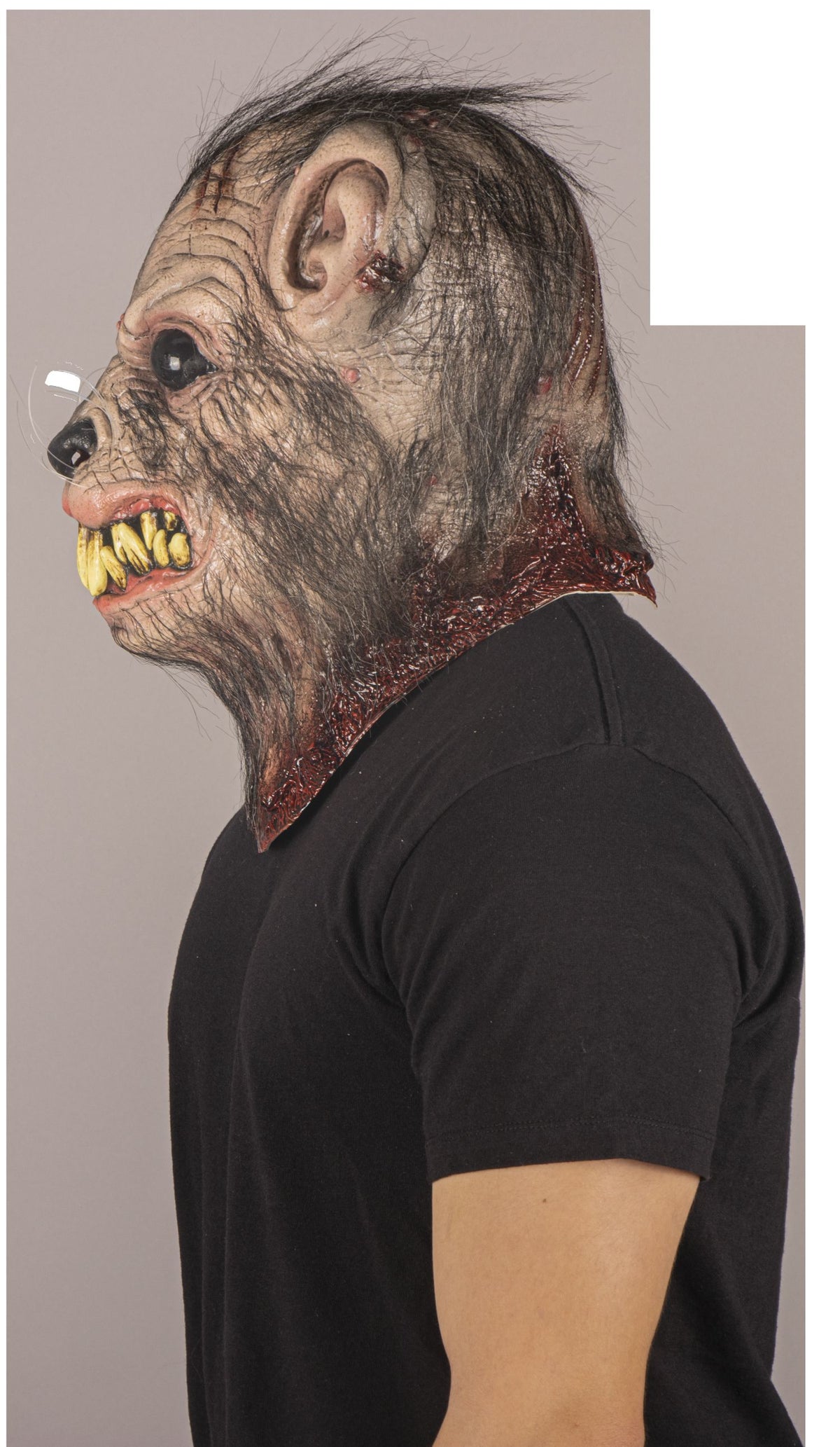 Máscara Sarnoso Rata Ghoulish - Disfraz de Látex, Kanekalon para Halloween y Día de Muertos