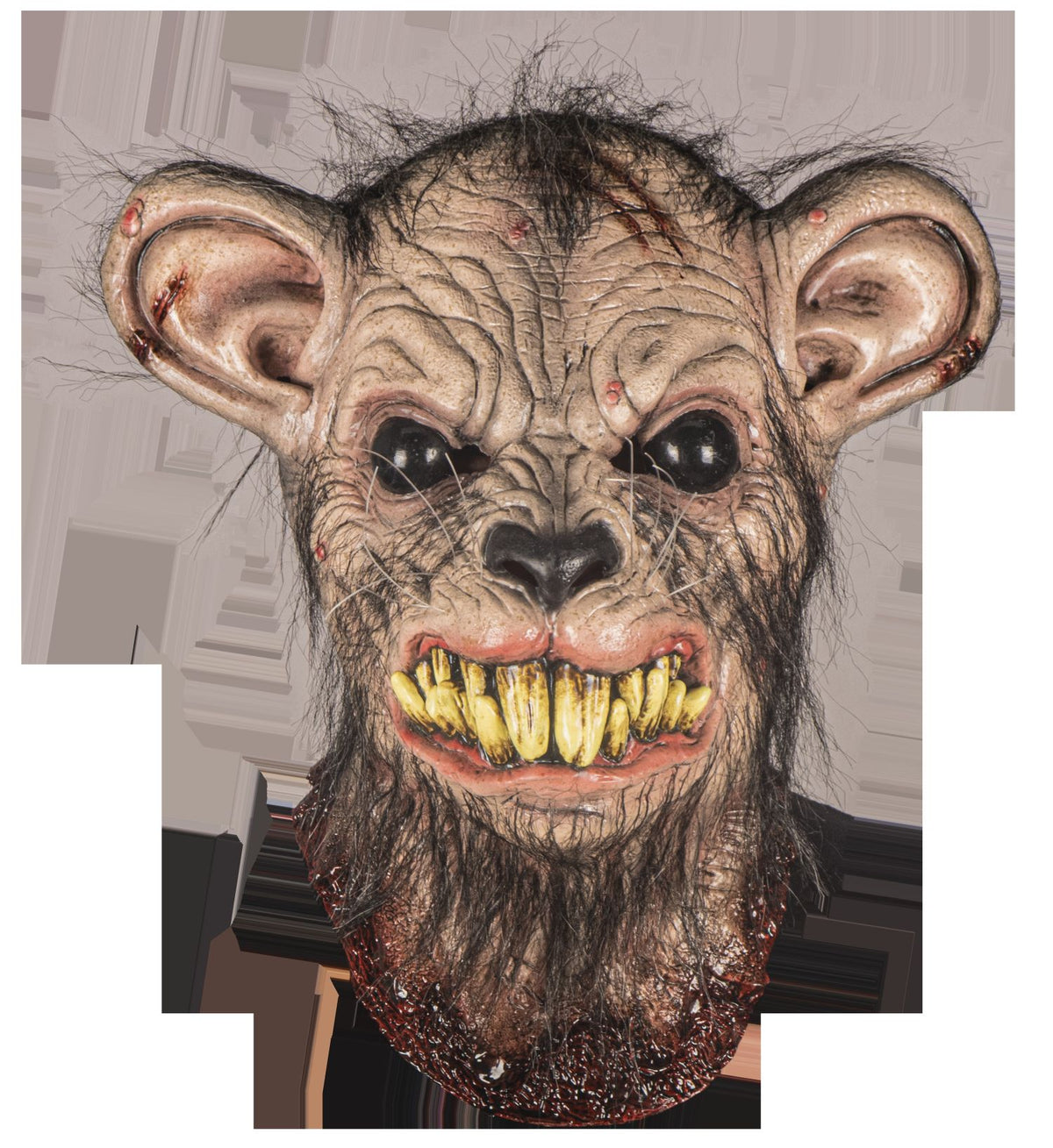 Máscara Sarnoso Rata Ghoulish - Disfraz de Látex, Kanekalon para Halloween y Día de Muertos