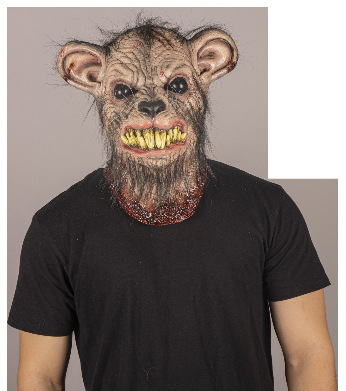 Máscara Sarnoso Rata Ghoulish - Disfraz de Látex, Kanekalon para Halloween y Día de Muertos