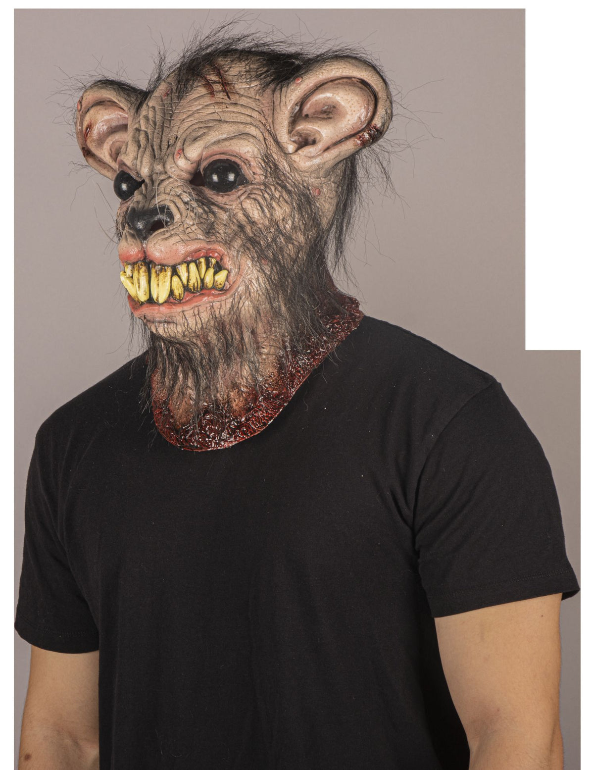 Máscara Sarnoso Rata Ghoulish - Disfraz de Látex, Kanekalon para Halloween y Día de Muertos