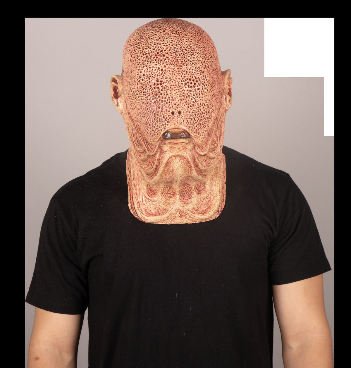 Máscara Señor Thomas Ghoulish - Disfraz de Látex para Halloween y Día de Muertos