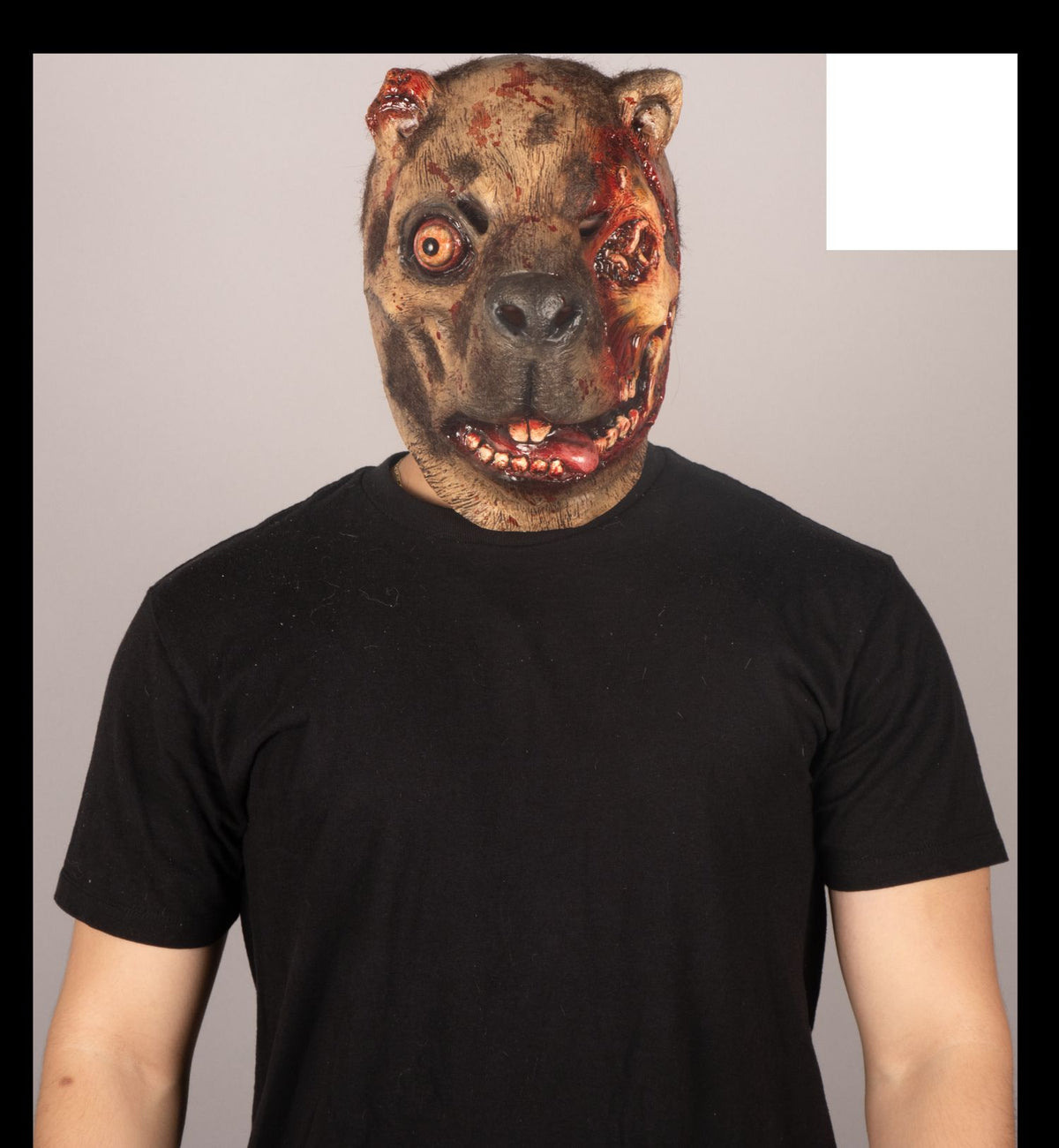 Máscara Zombi Capybara Ghoulish - Disfraz de Látex, Kanekalon para Halloween y Día de Muertos