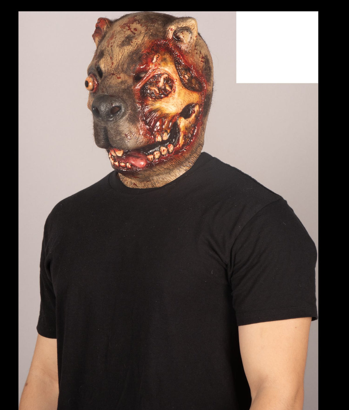 Máscara Zombi Capybara Ghoulish - Disfraz de Látex, Kanekalon para Halloween y Día de Muertos