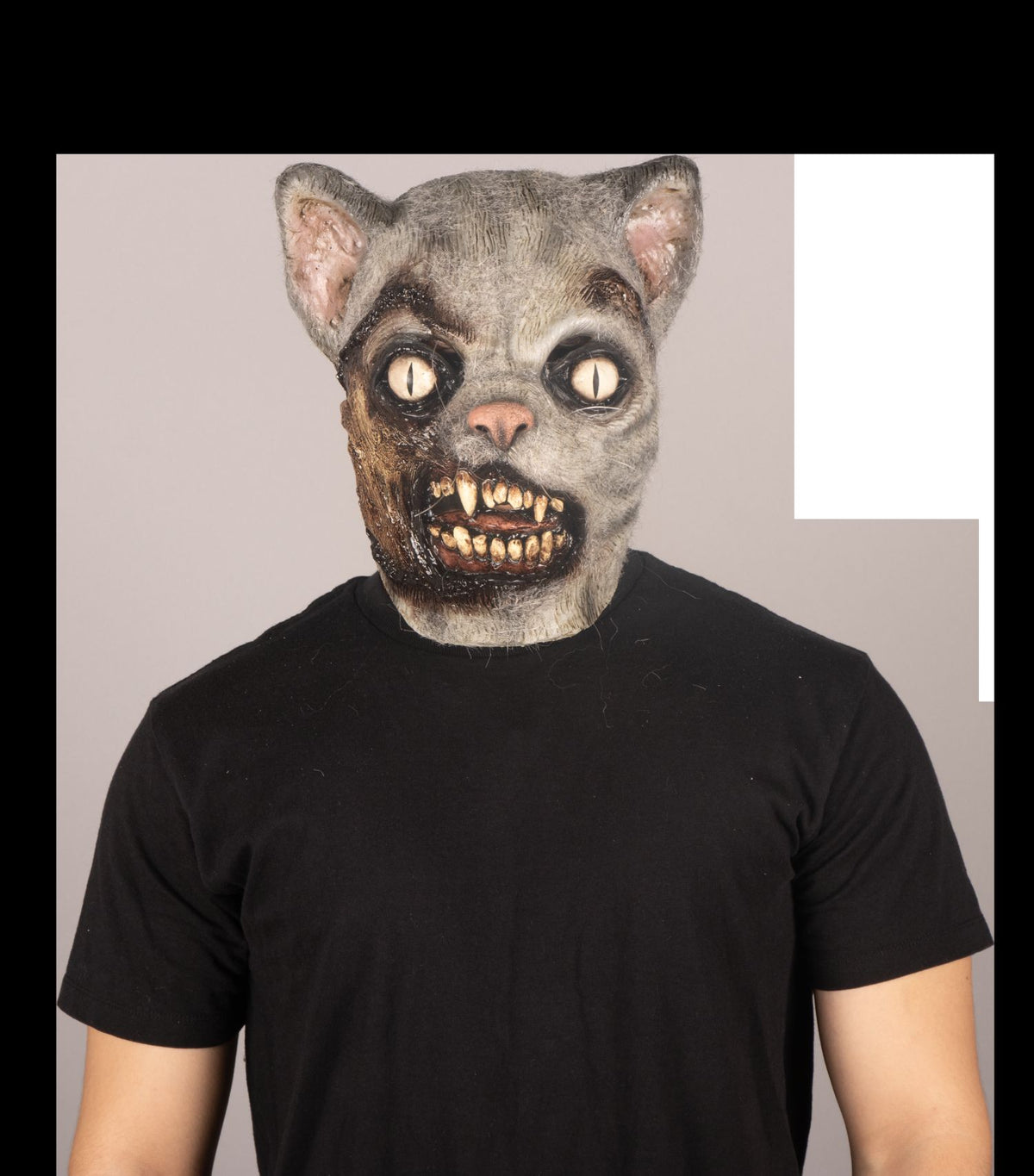 Máscara Zombi Gato Ghoulish - Disfraz de Látex, Kanekalon para Halloween y Día de Muertos