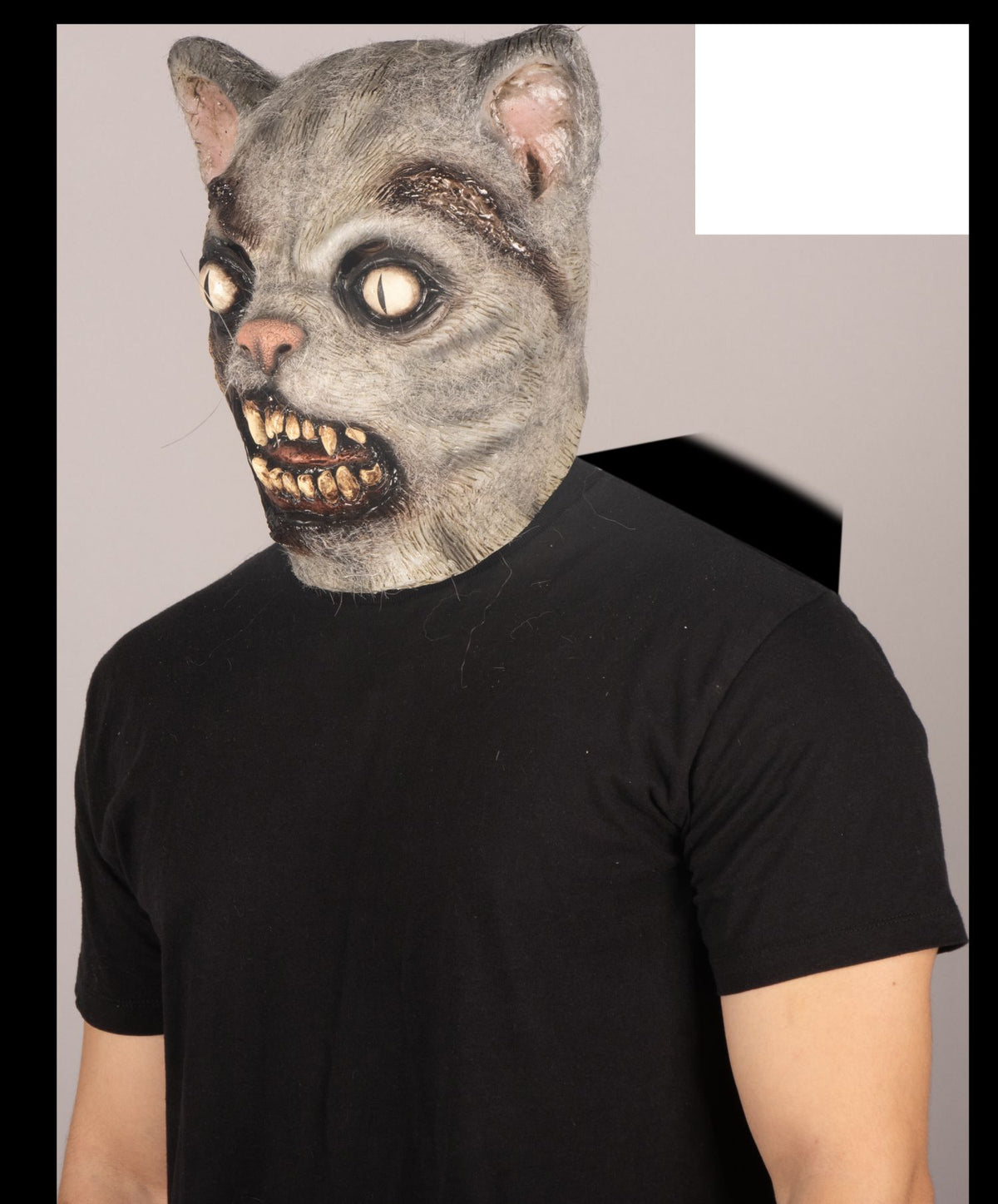 Máscara Zombi Gato Ghoulish - Disfraz de Látex, Kanekalon para Halloween y Día de Muertos