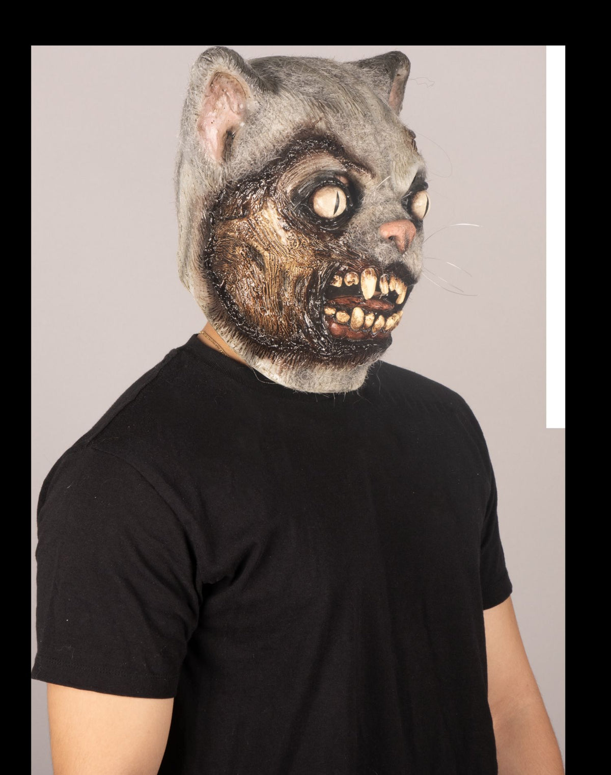 Máscara Zombi Gato Ghoulish - Disfraz de Látex, Kanekalon para Halloween y Día de Muertos